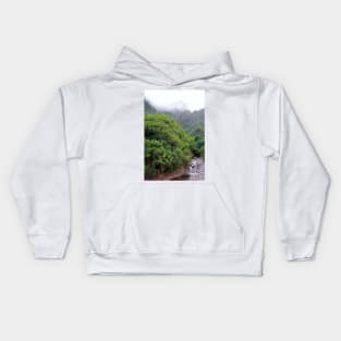 Iao Valley State Park Study 3 Kids Hoodie